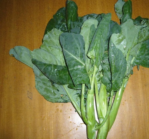 Brassica oleracea Seeds | Kale Zhongs