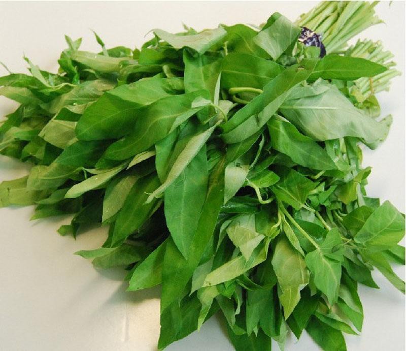 Swamp Morning Glory seeds (Ipomoea aquatica) Swamp Morning Glory seeds (Ipomoea aquatica)